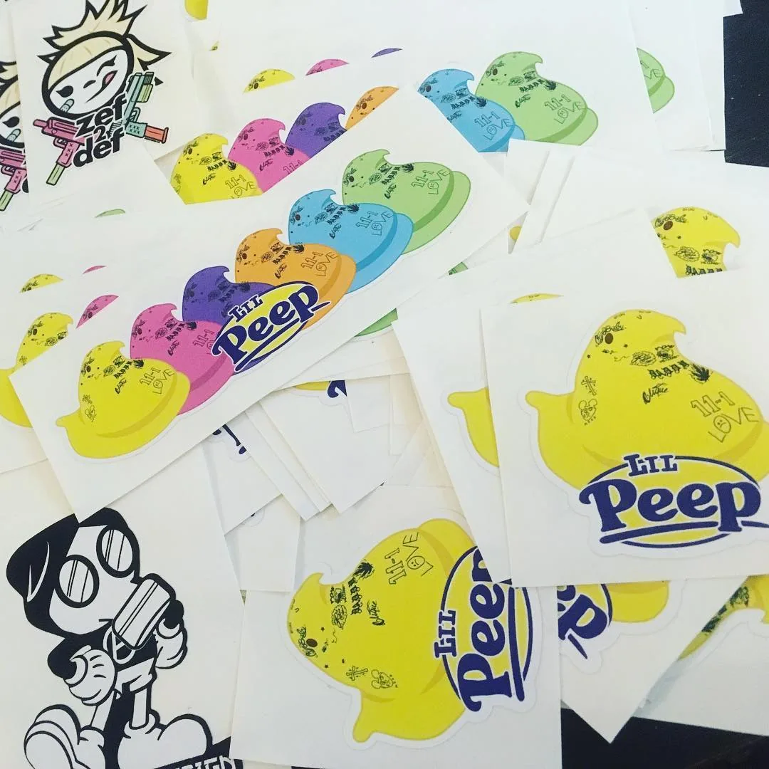Flash sheet-5